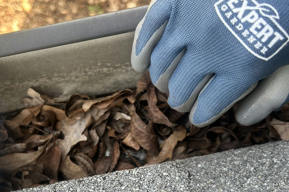 Gutter Cleaning Orange Park FL