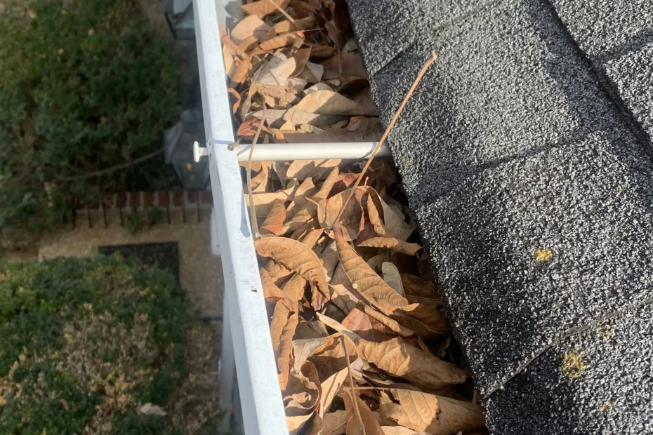 Gutter Cleaning Orange Park FL