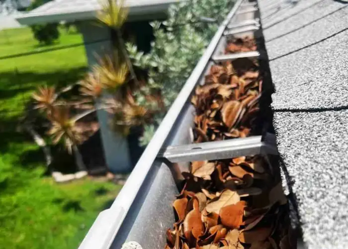 Gutter Cleaning Orange Park FL home page